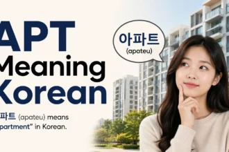 APT Meaning Korean