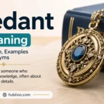 pedant meaning