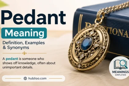 pedant meaning