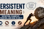 persistent meaning