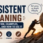 persistent meaning