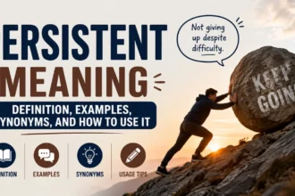 persistent meaning