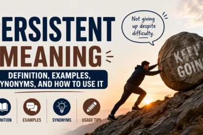 persistent meaning
