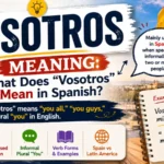 Vosotros Meaning