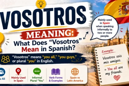 Vosotros Meaning