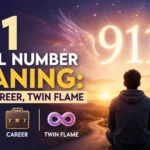 911 angel number meaning