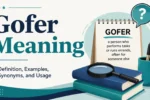 Gofer Meaning