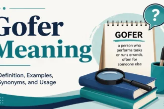 Gofer Meaning