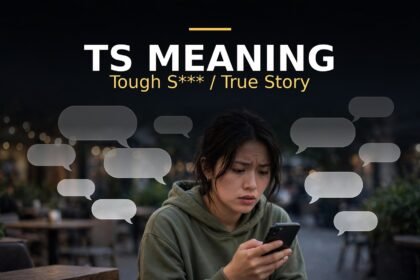 TS Meaning